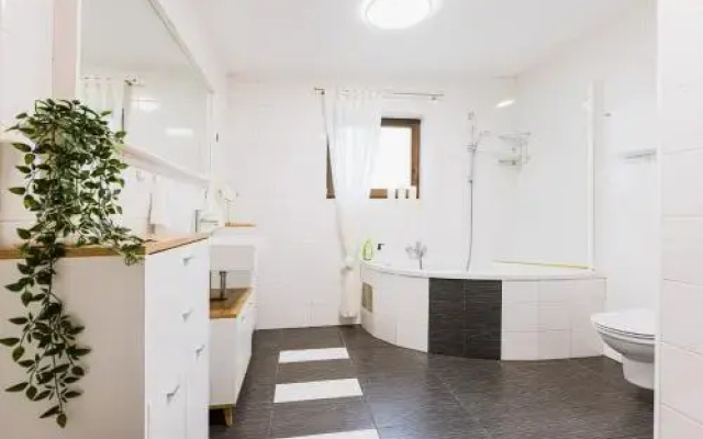 Apartments Šolar