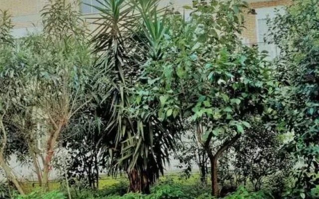 Casa Rosi
