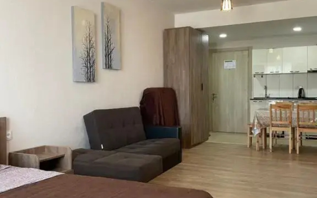 Bakuriani Plaza B416
