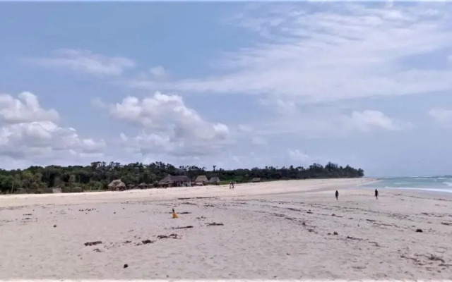 V-Szameitat Homes, Kongo River