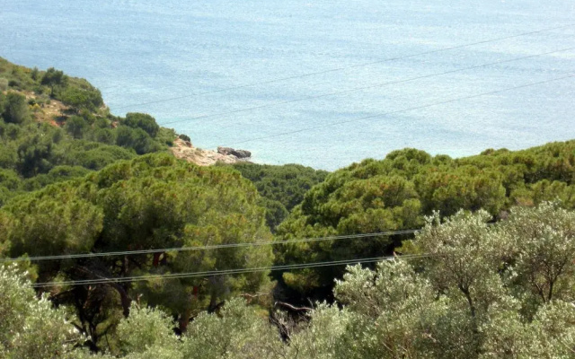 Villa Bartolini