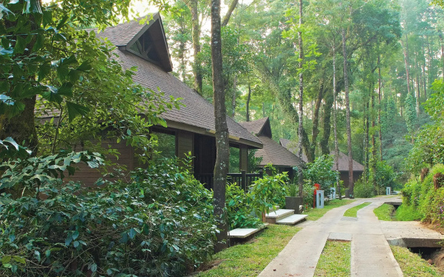 The Tamara Coorg