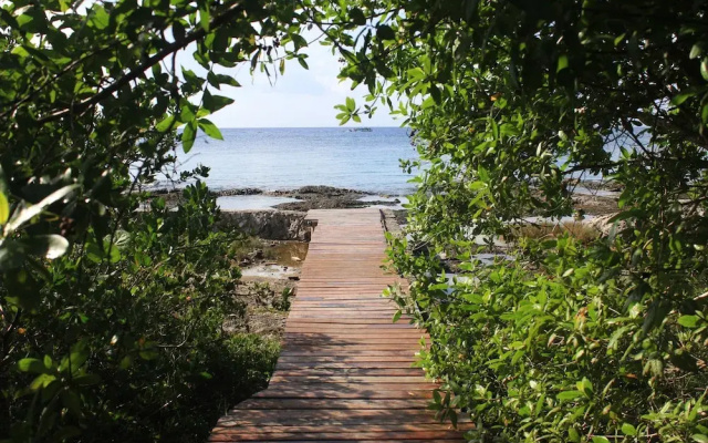 Great Condo in Cozumel OCEAN FRONT D10