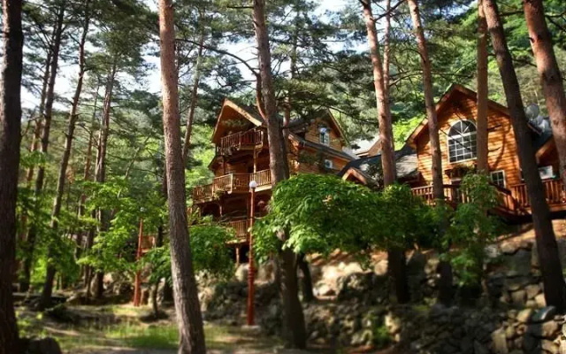 Mongvizu Pension