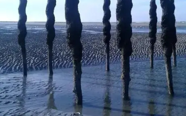 Plaisirs du bord de mer