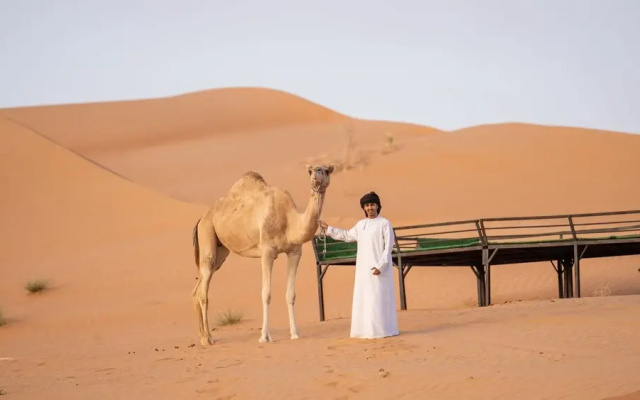 Bedouin Nighets Camp