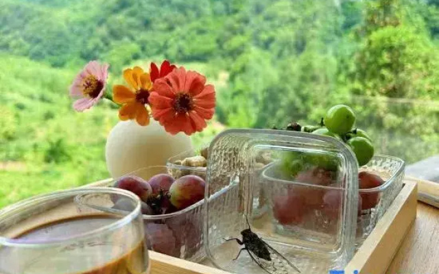 Yunqi Yougu Private Tang Homestay Ya'an Bifengxia Branch