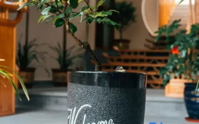 Yiyuan Youju Boutique Holiday Inn (Heshun Ancient Town Branch), Tengchong