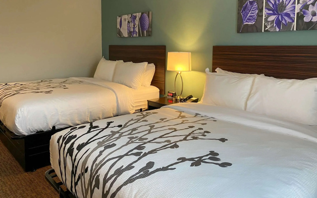 Sleep Inn & Suites - Coliseum Area