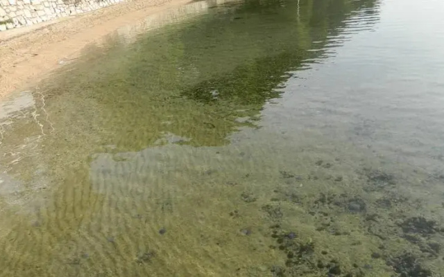 Apartment Mijo