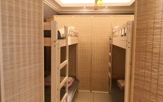 Best Cat Hostel