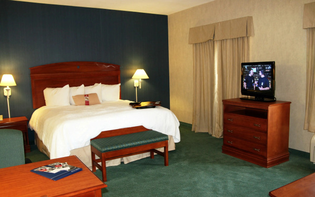 Hampton by Hilton Chihuahua