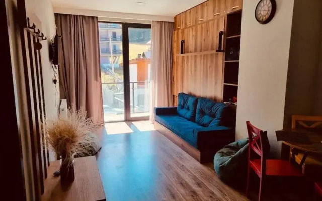 M25 Bakuriani - room #203