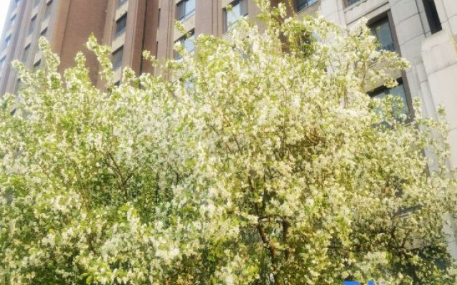 Luyuan Meisu Boutique Homestay