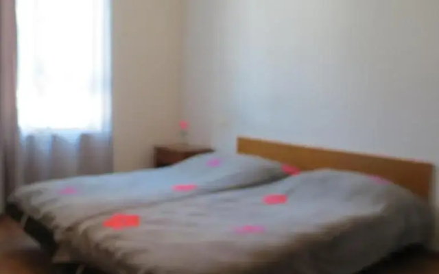Tvishi Guest House