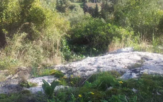 I Giardini di Perciata