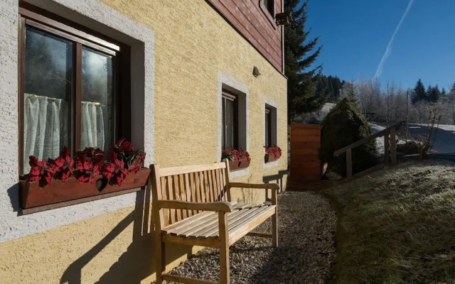 Spacious Holiday Home near Ski Area in Leogang