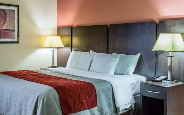 Comfort Inn Raleigh