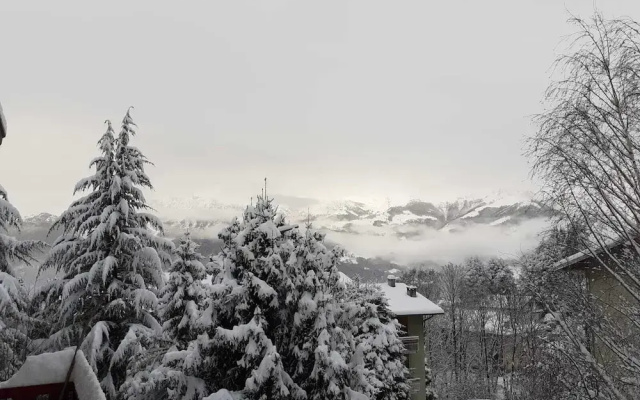 6guests-skiing-mountainviews-fireplace-freeparking