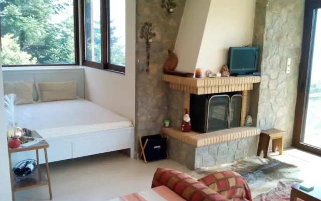 Elatos cozy Studio