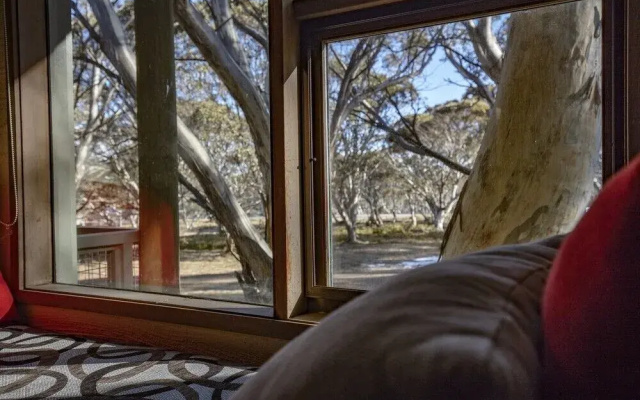 Snowgums 07
