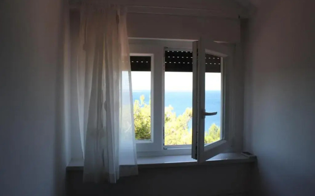 Apartments Radic