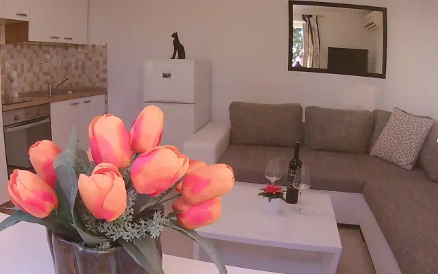 Apartment Near Old Town Dubrovnik With Terrace and Beatuful View
