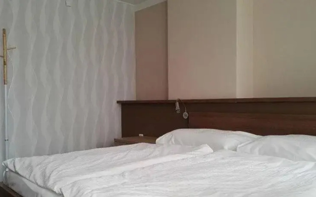 Hotel Palác Elektra