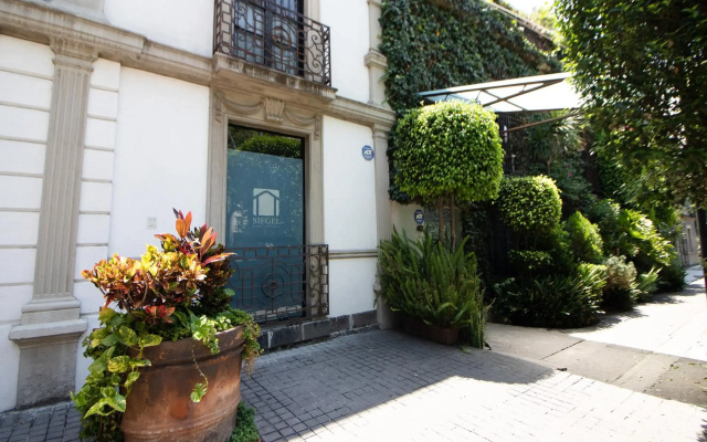 La Condesa: Beautiful Designed Studio