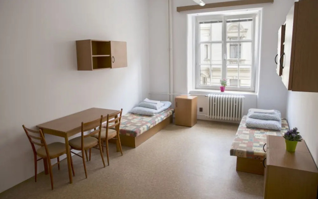 Dizzy Daisy Hostel