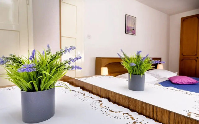 Apartment Violet