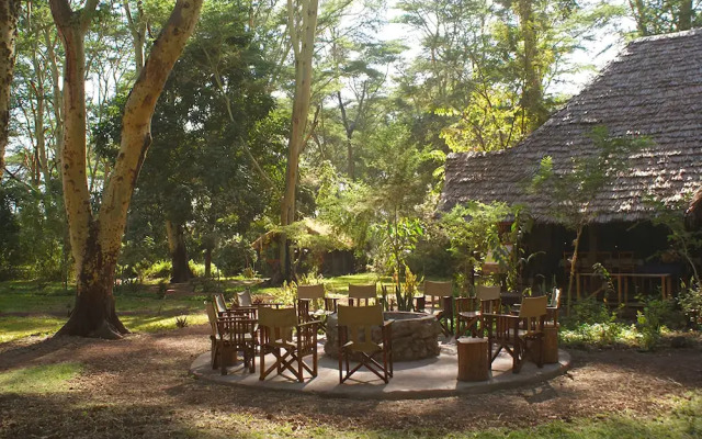 Migunga Forest Camp