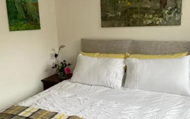 Top Studio (Adults Only)