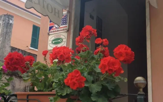 Hotel Garden 2