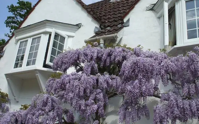 Wayside Cottage