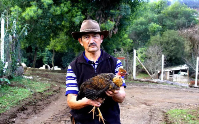 Cabaña Huilipan Gonzalez