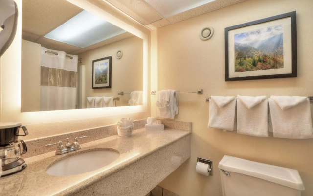 Edgewater Hotel - Gatlinburg
