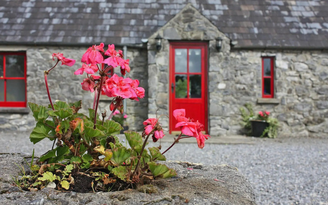 TerryGlass cottage with BBQ