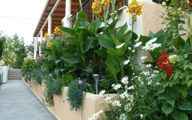 Anna Studios