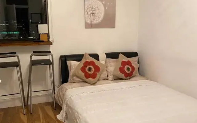 Room in Central London Overview Thames