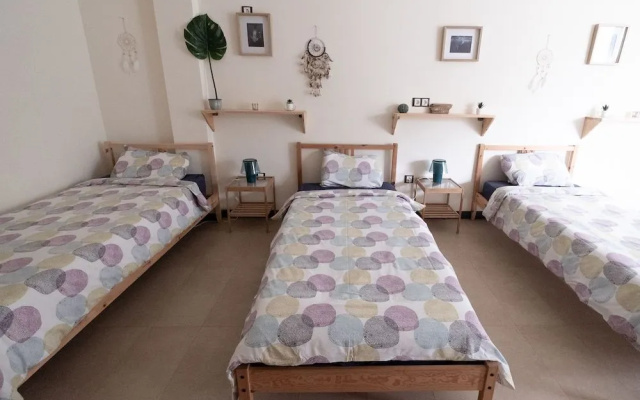 Star Surf Camps Fuerteventura