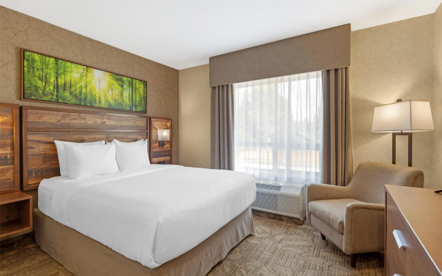 Best Western Plus Valemount Inn & Suites