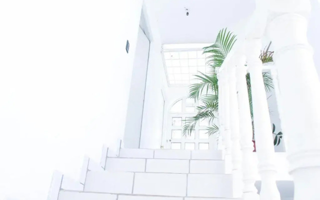 Amazing House in Manzanilla Beach- Entire House