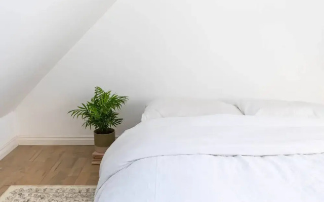 Bright 1 Bedroom Flat Near the Tube