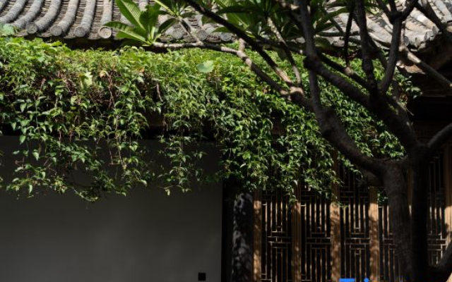 Ting Zi Yun Resort
