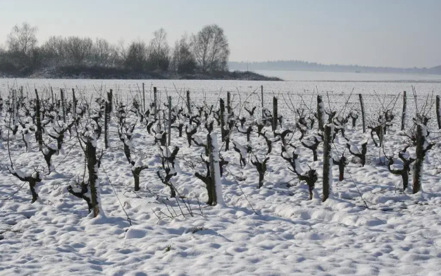 Le Clos Du Puits