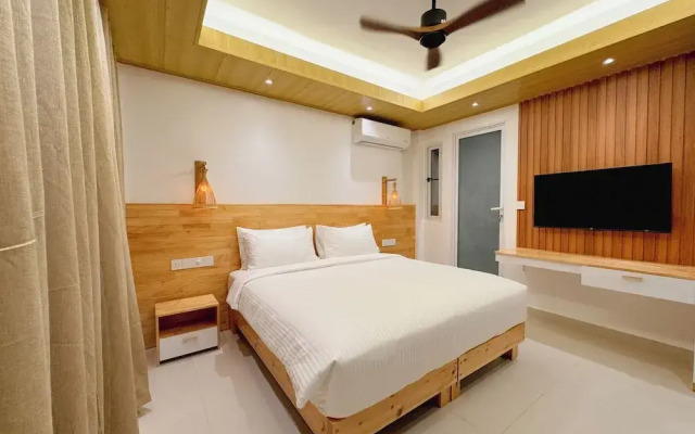 Pavona Maldives