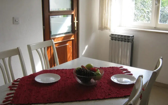 Apartment Ivica