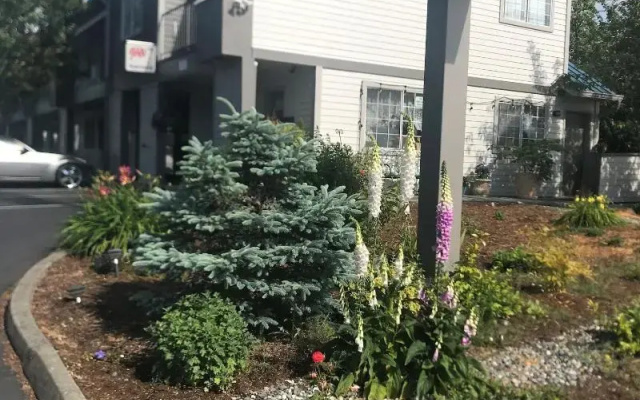 Tulip Inn