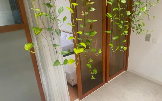 Holi Terrace House